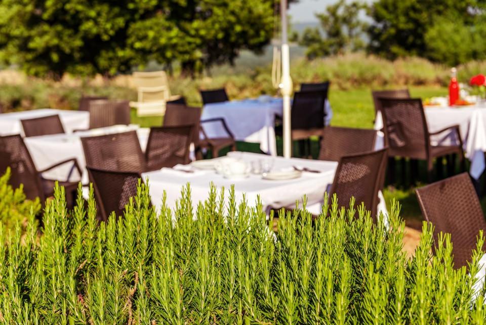 Agriturismo & Cantina Tenuta Casteani Ribolla エクステリア 写真