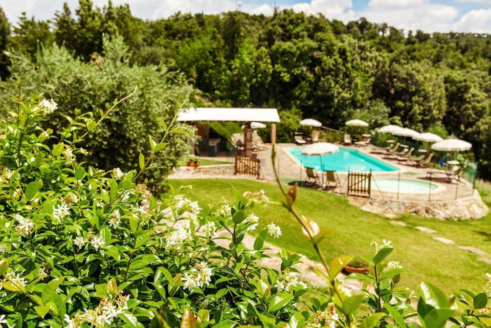 Agriturismo & Cantina Tenuta Casteani Ribolla エクステリア 写真