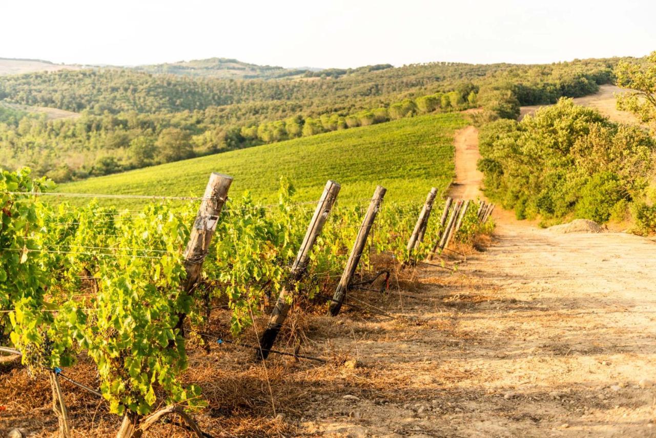 Agriturismo & Cantina Tenuta Casteani Ribolla エクステリア 写真