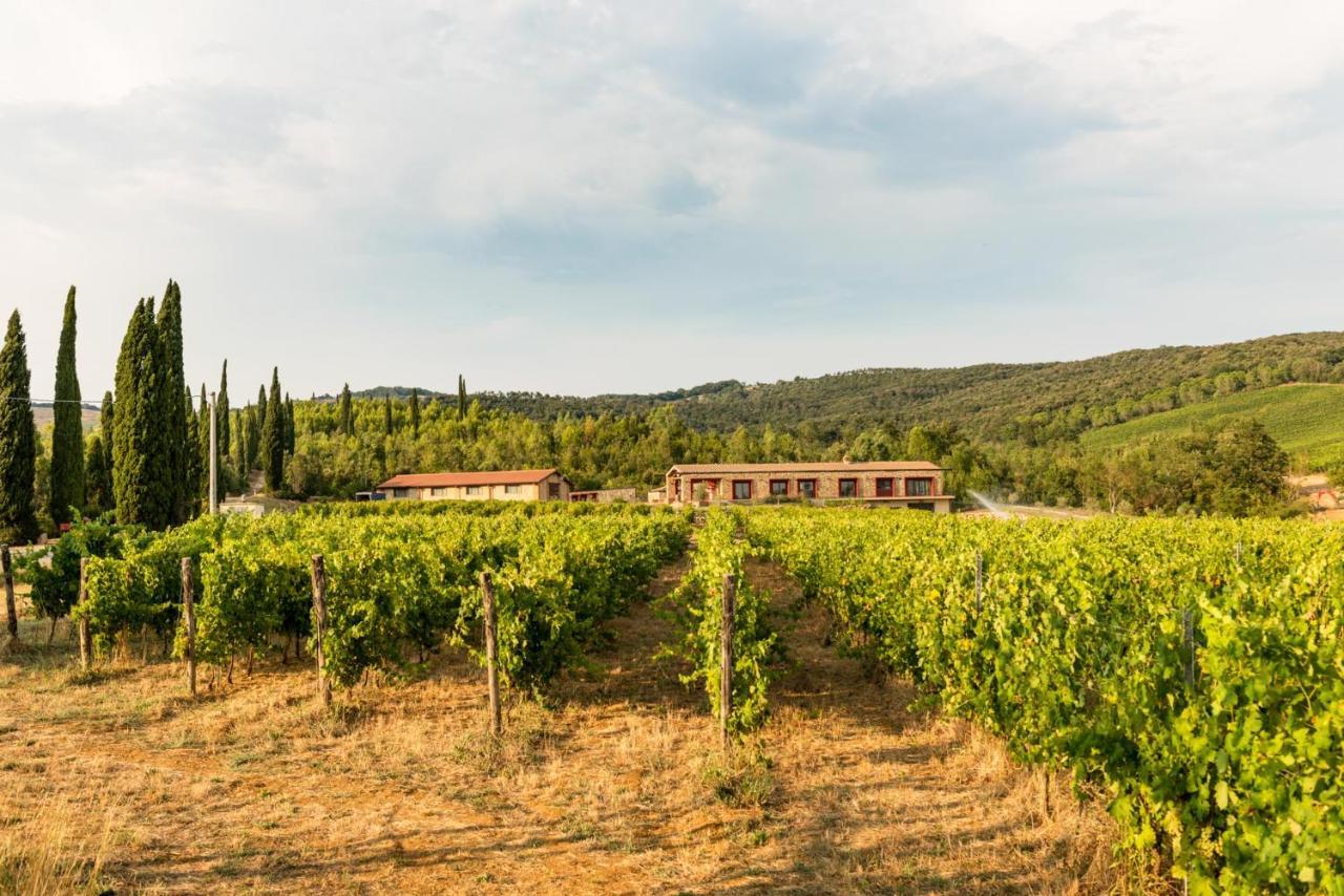 Agriturismo & Cantina Tenuta Casteani Ribolla エクステリア 写真